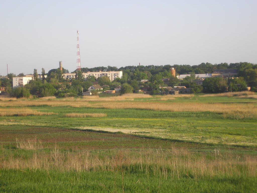 Вид Машівки