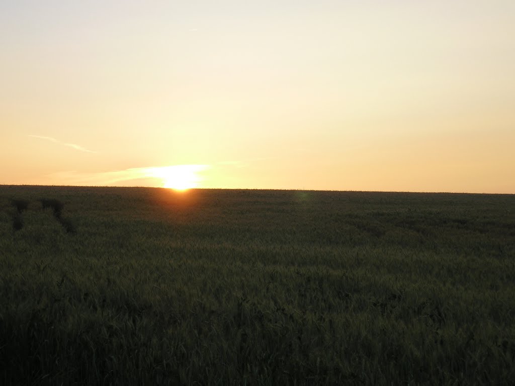 Схід сонця в Машівці