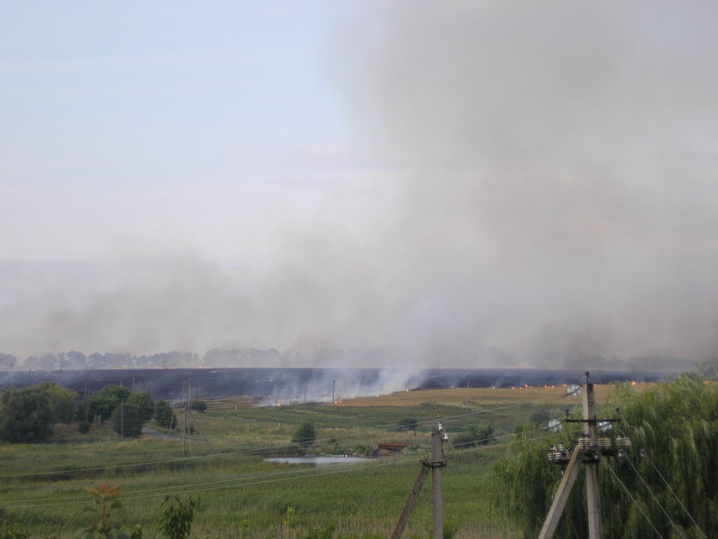 Машівські поля