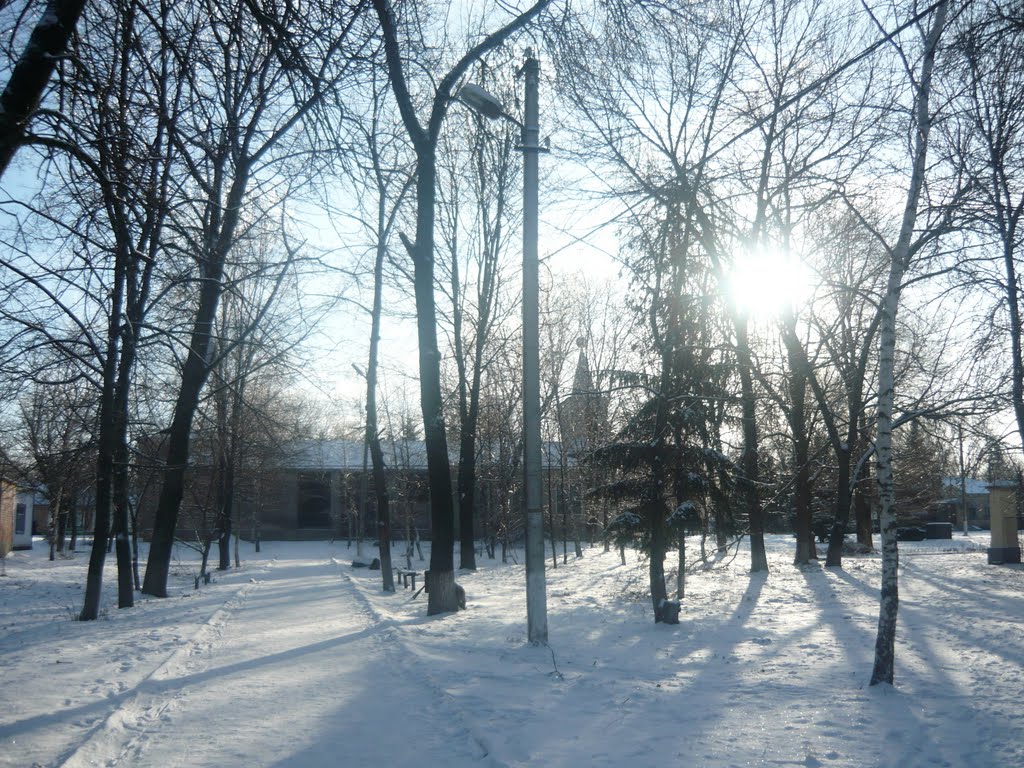 Парк зимой