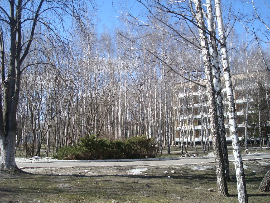 На территории санатория