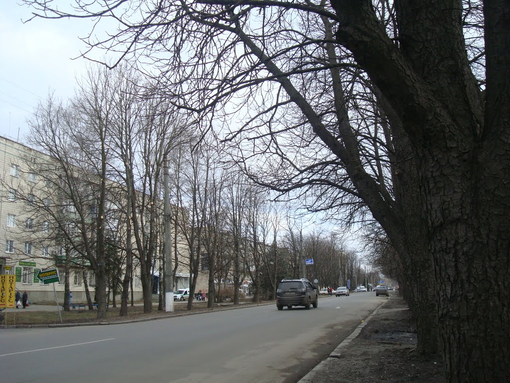 Улица Гоголя