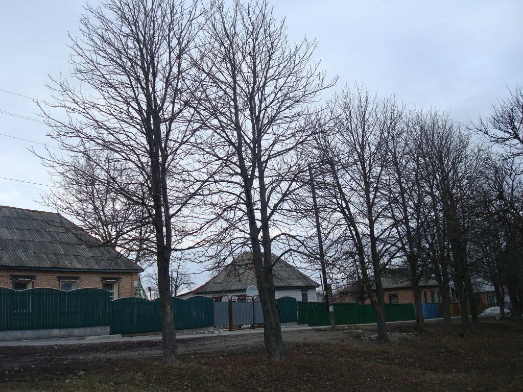 Миргород