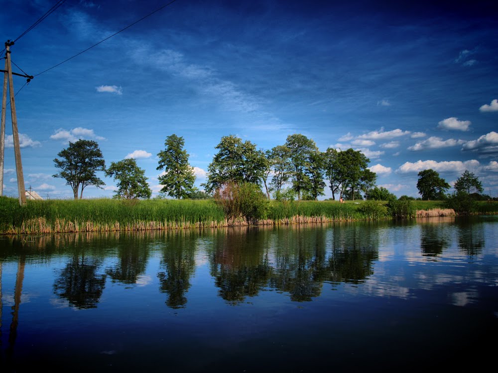 Reflection