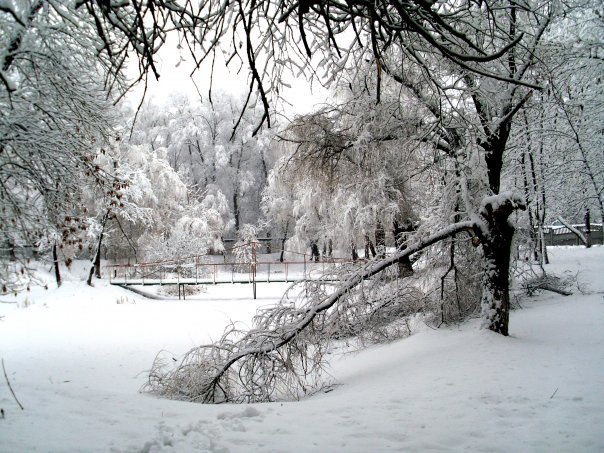 Волшебная зима