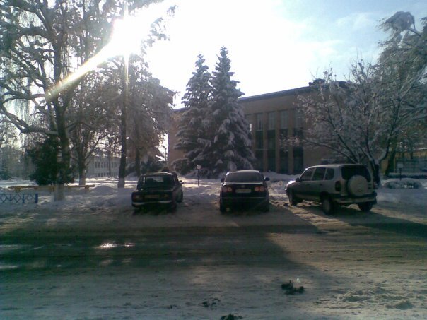 *=-.,.-=*   )))  winter  (((   *=-.,.-=*