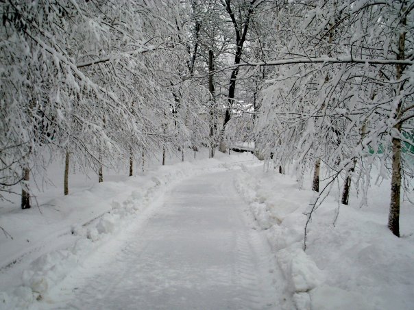 Дорога в сказку