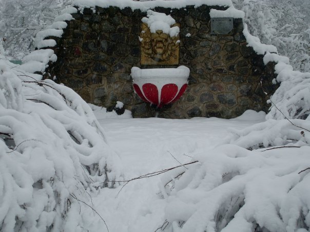 Лев