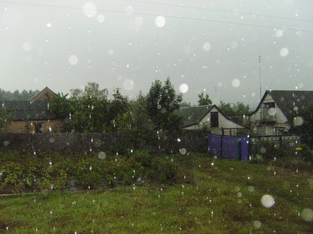 Дождь / rain