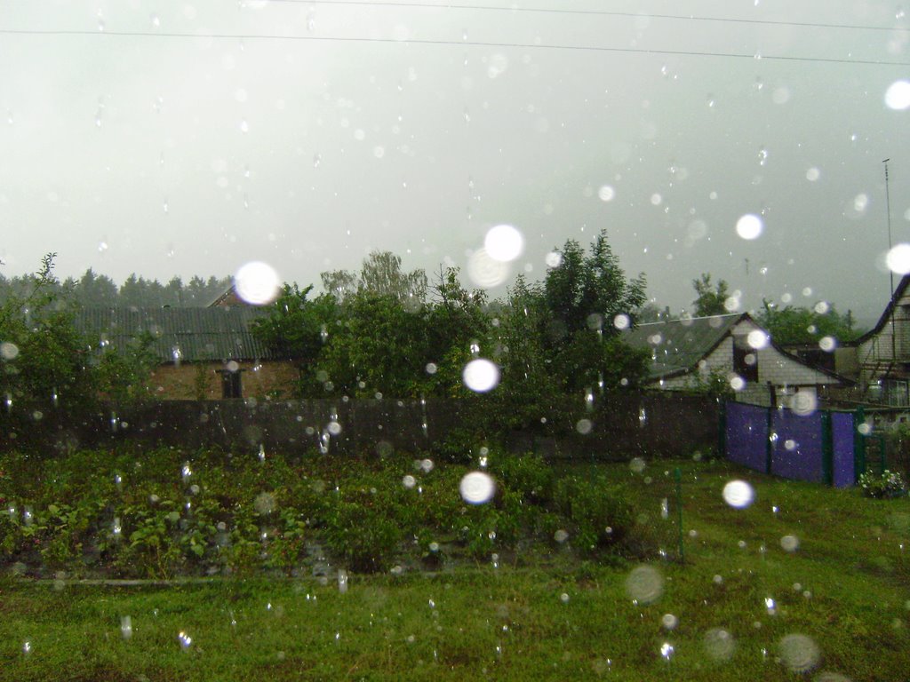 Дождь / rain