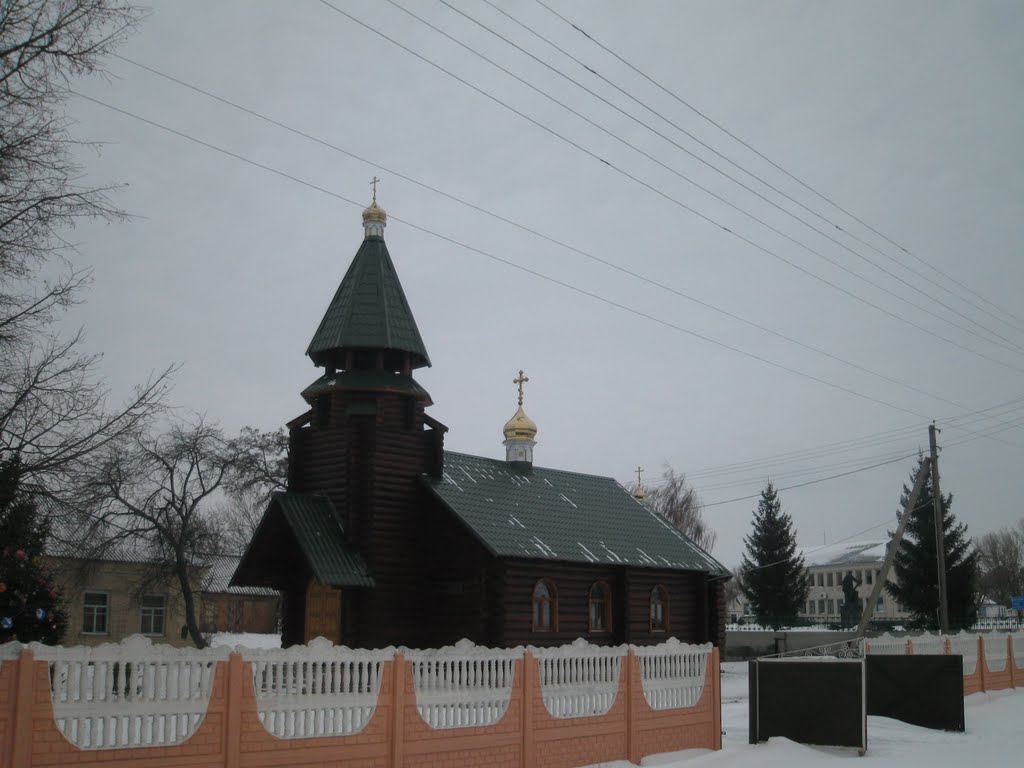 Пантелеймонівський деревяний храм 21 ст.