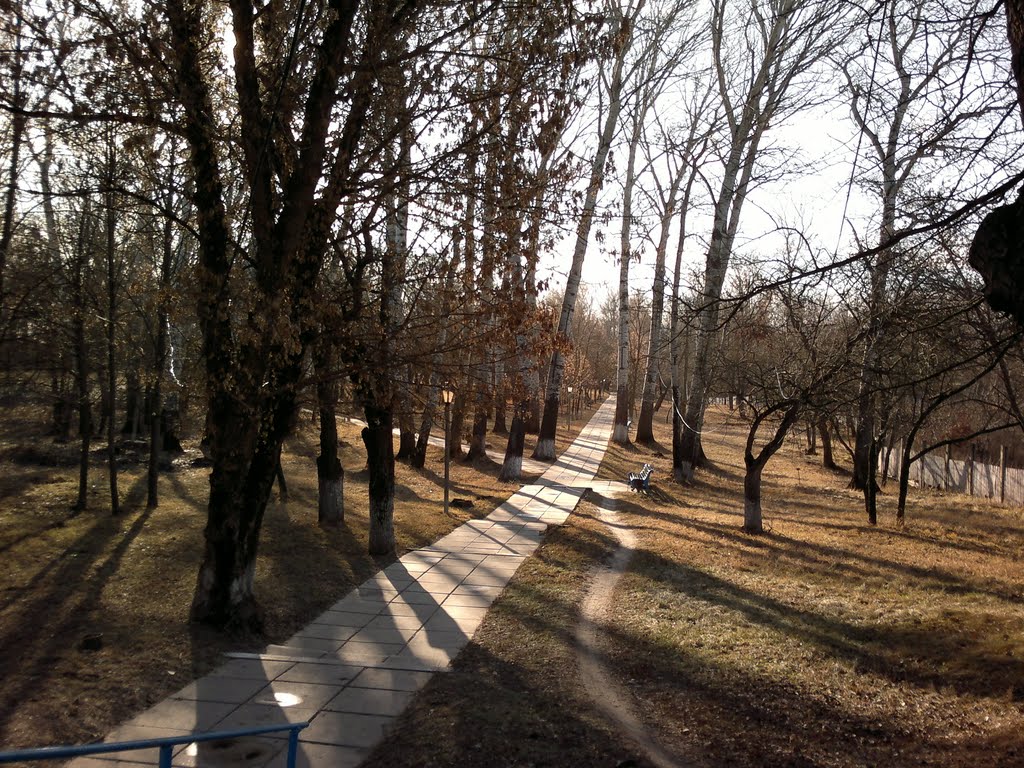 Парк