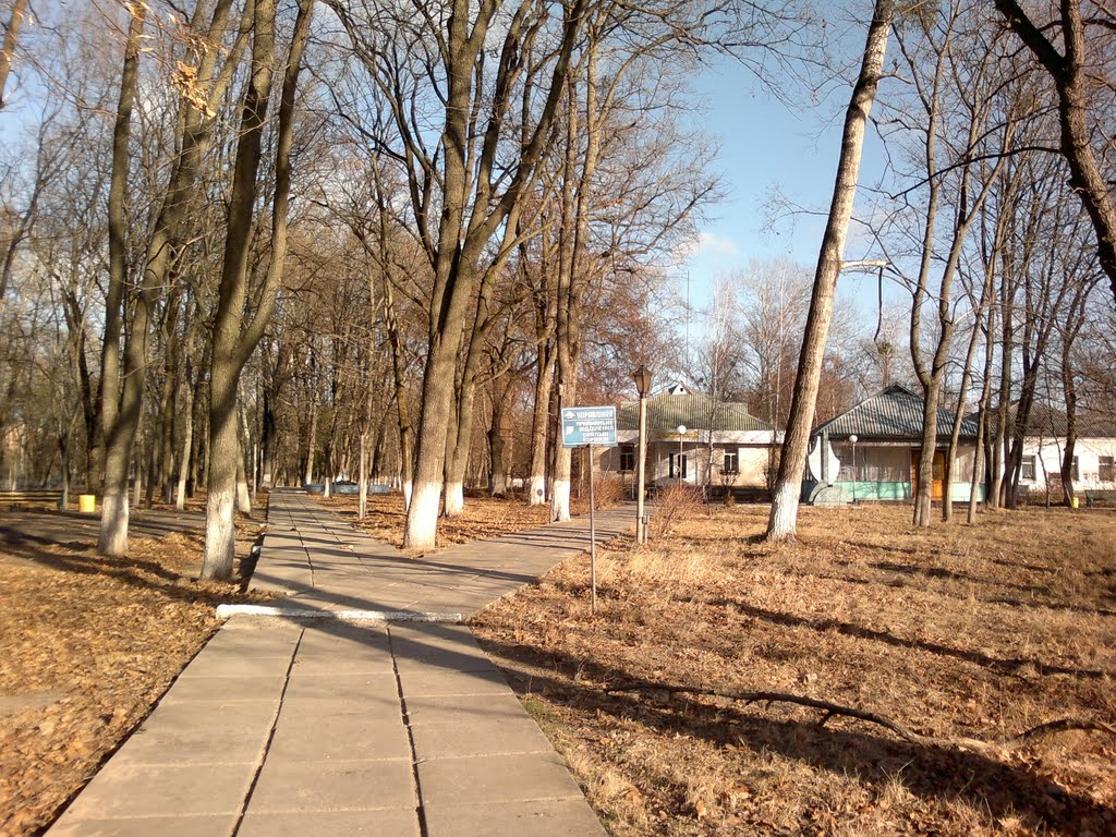 Парк
