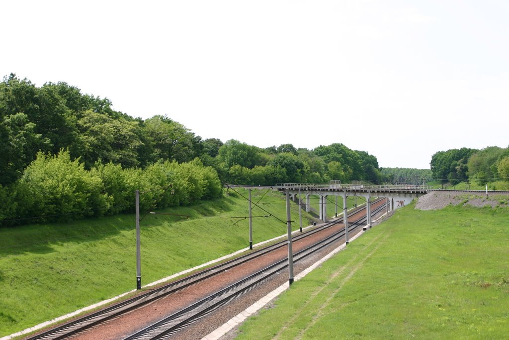 Railway Grebenka-Kiev