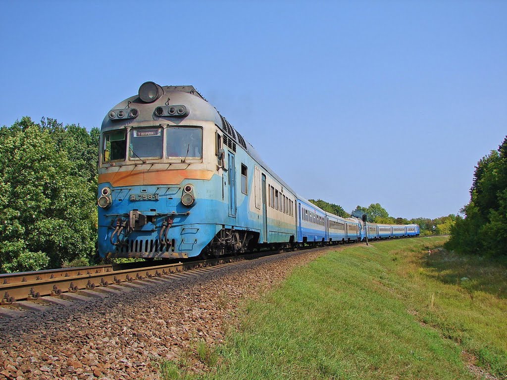 Дизель-поезд Д1-758 + Д1-688 сообщением Гребенка - им. Тараса Шевченко