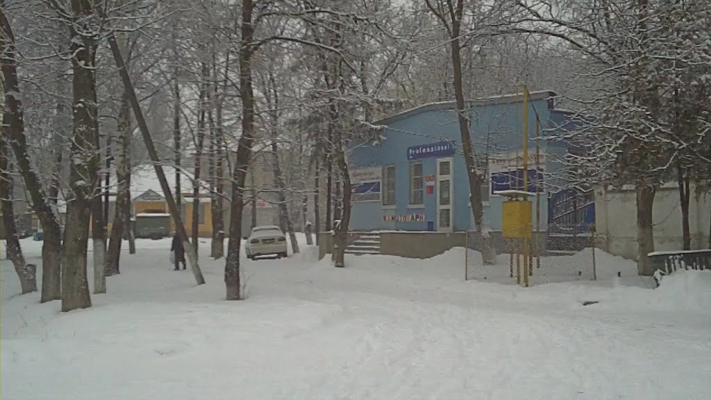 пирятин - професионал
