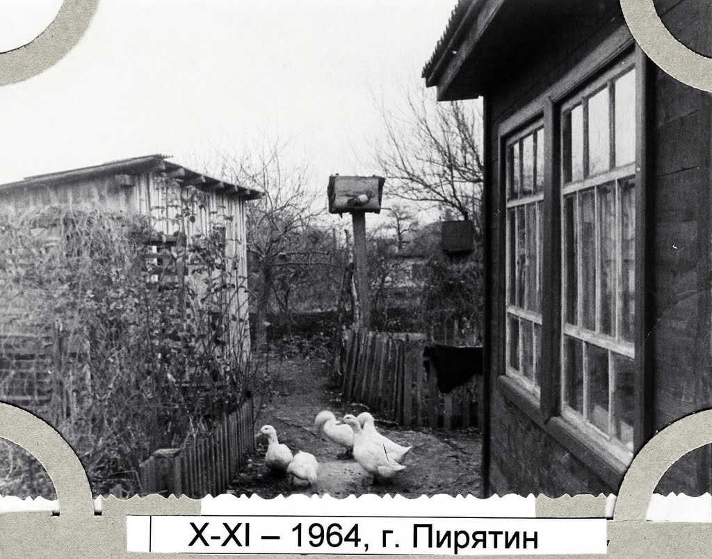 Фото Пирятин — Пирятин, 1964 год