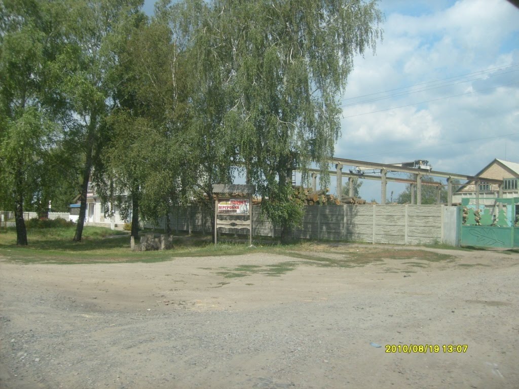 Фото Пирятин — Пирятин - лесничество