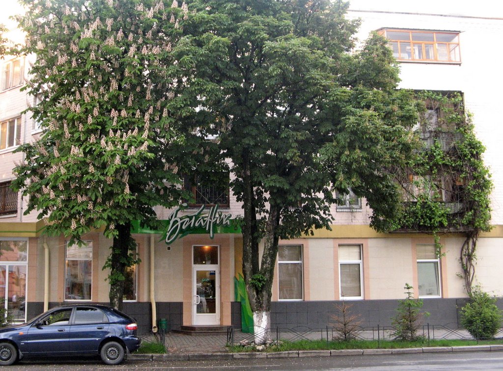 Кафе "Ботаник"