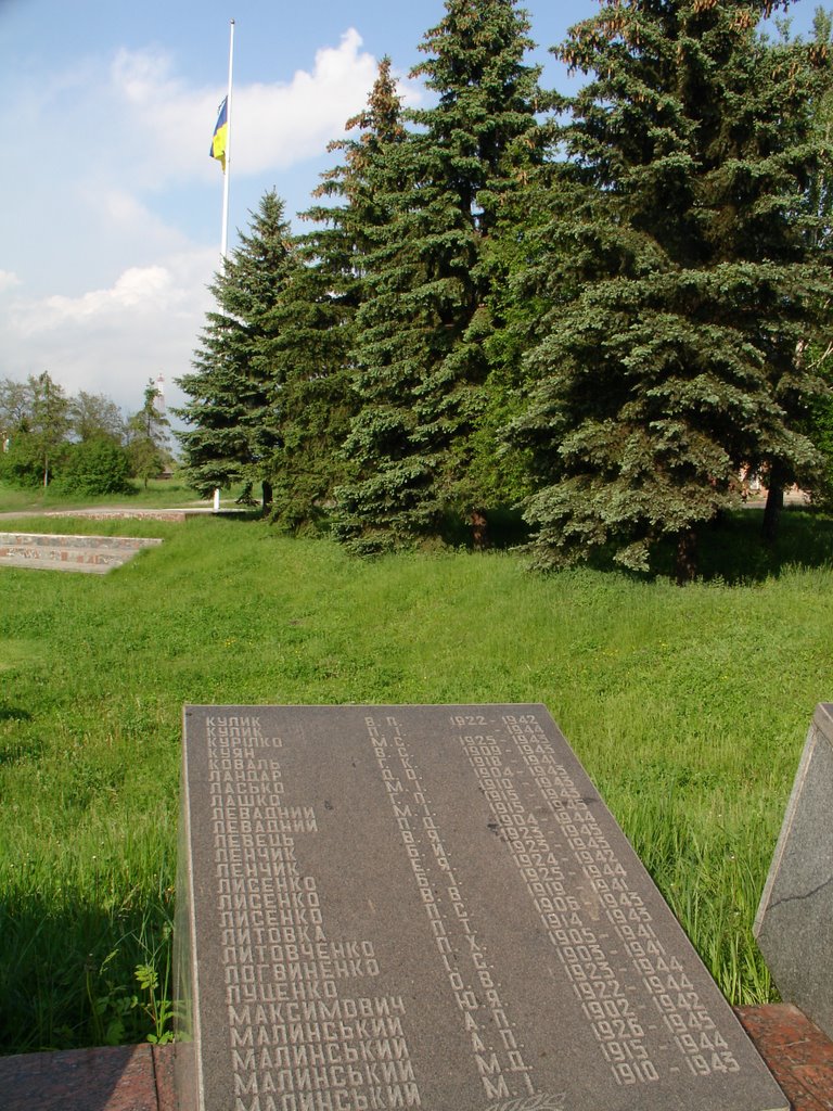 Год рождения деда 1900