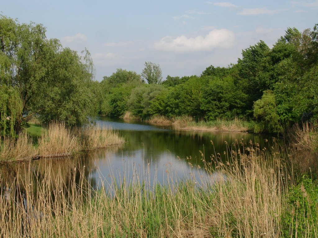 Говтва/ River Govtva at Poltava, in the village Reshetilovka.