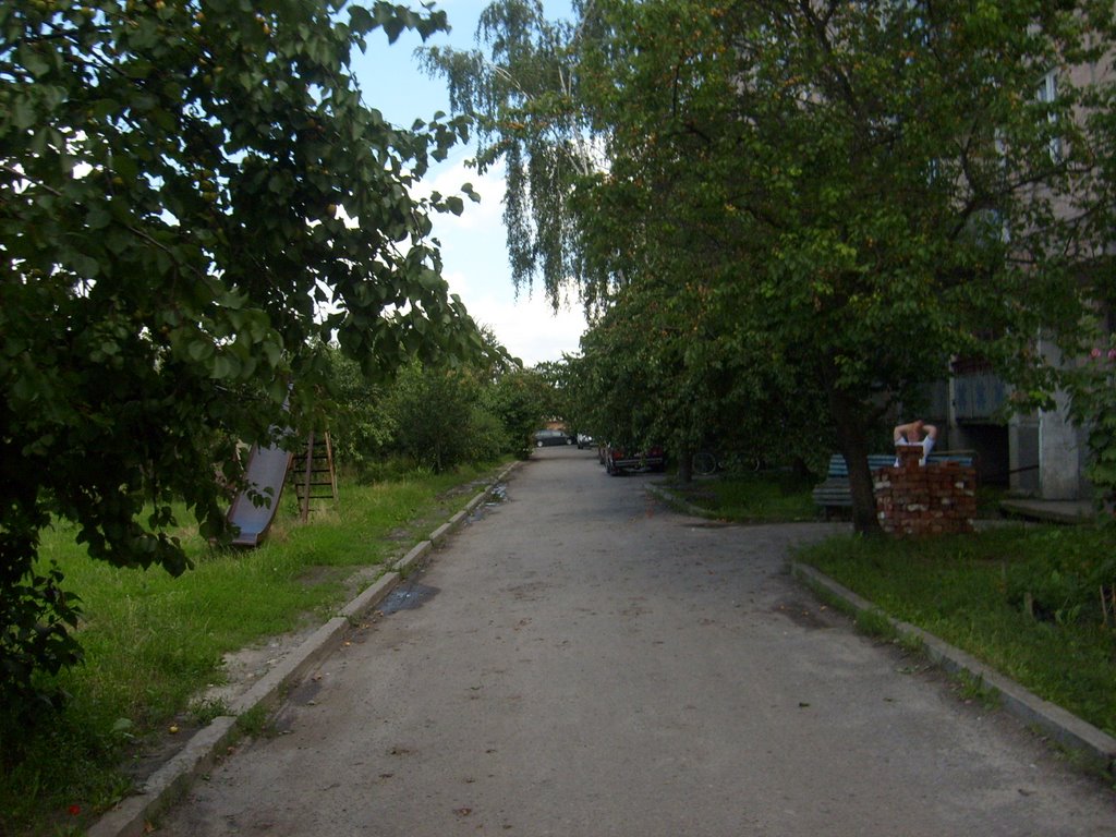 domů