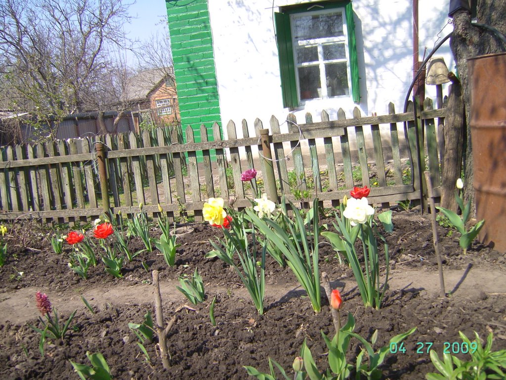 My grandfather house