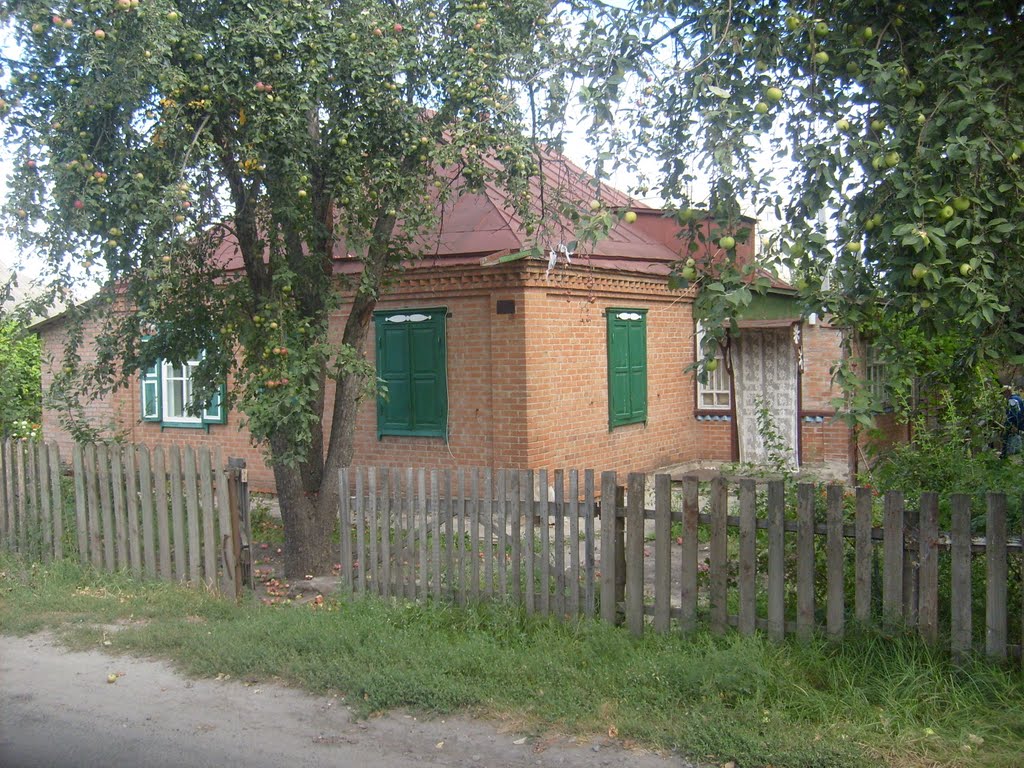 Neomítnutý dům v Ostrovského