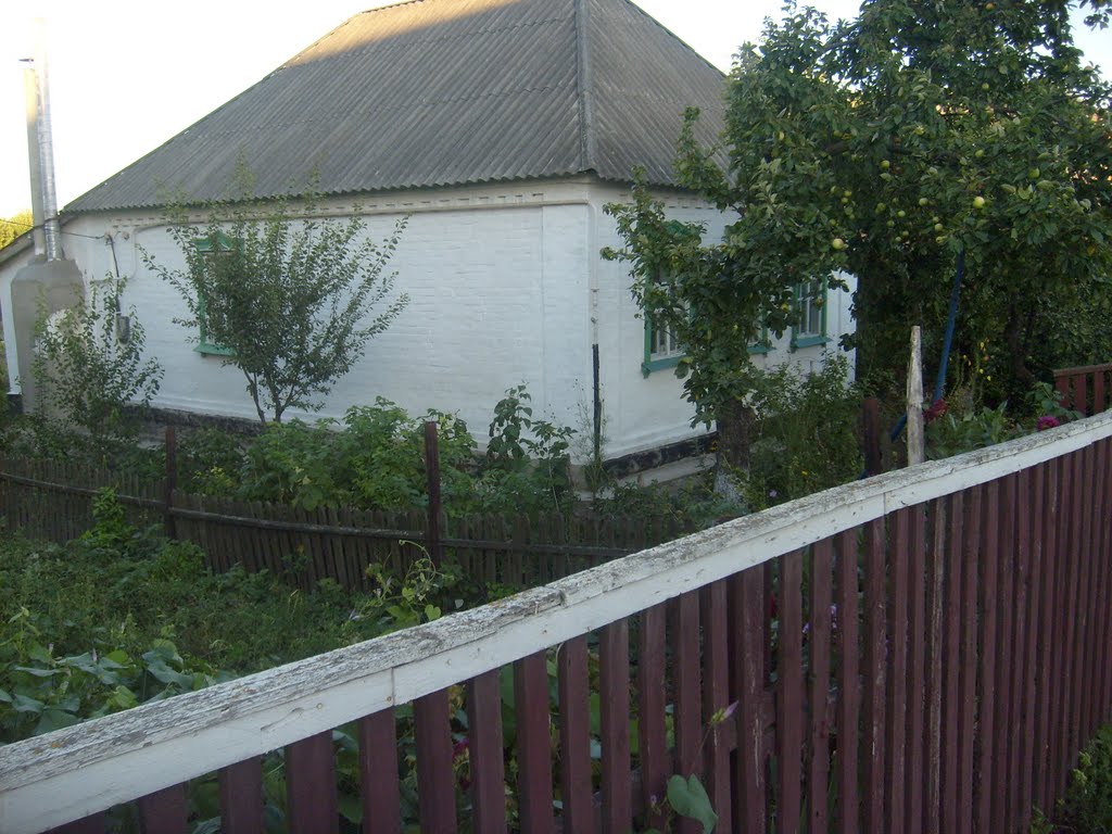 Malý domek se zahrádkou