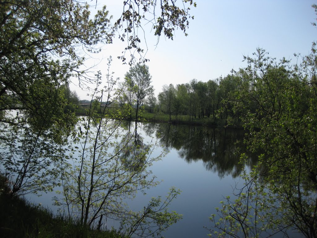 Говтва