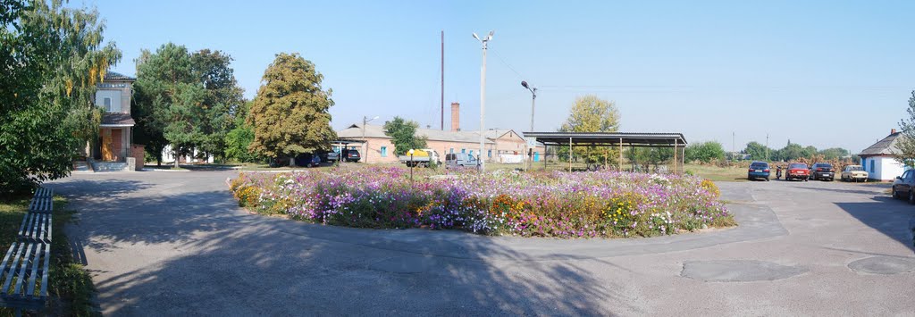 Клумба в центральній районній лікарні