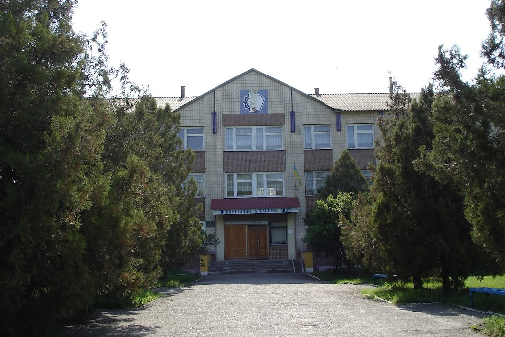 Промислово аграрний ліцей