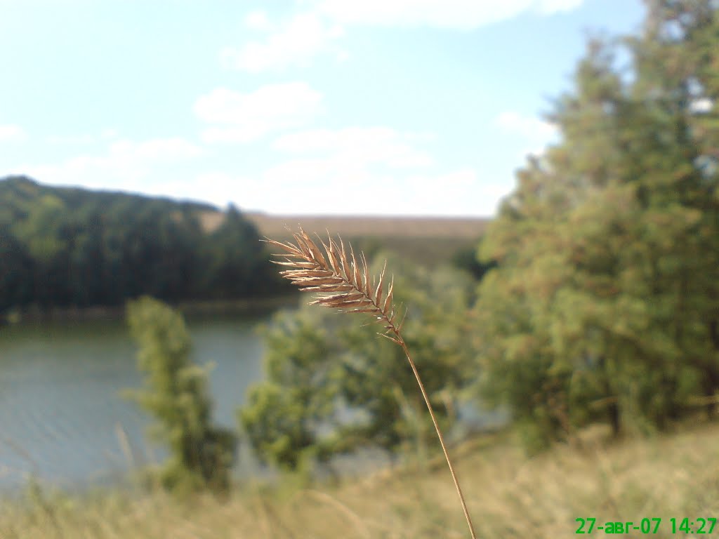 Бам
