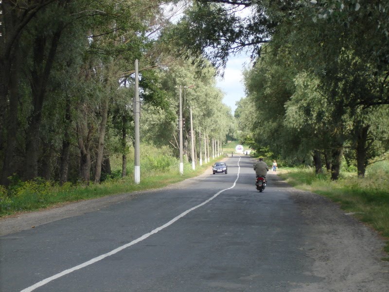 Road from Chernukhy