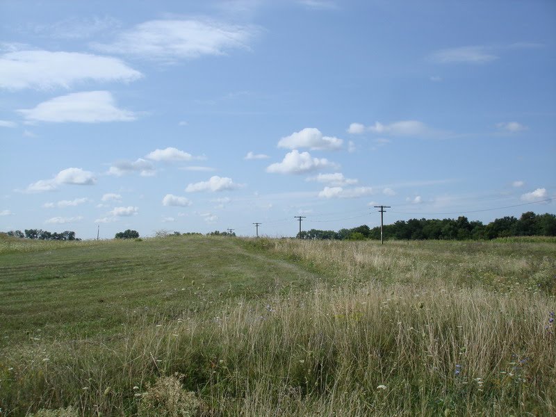 Near Chornukhy