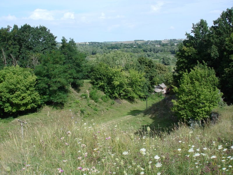 Country Scene near Chernukhy