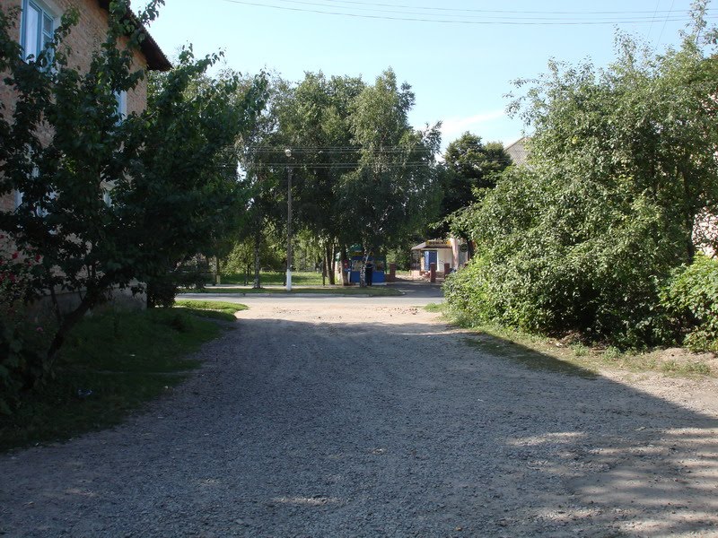 Chernukhy