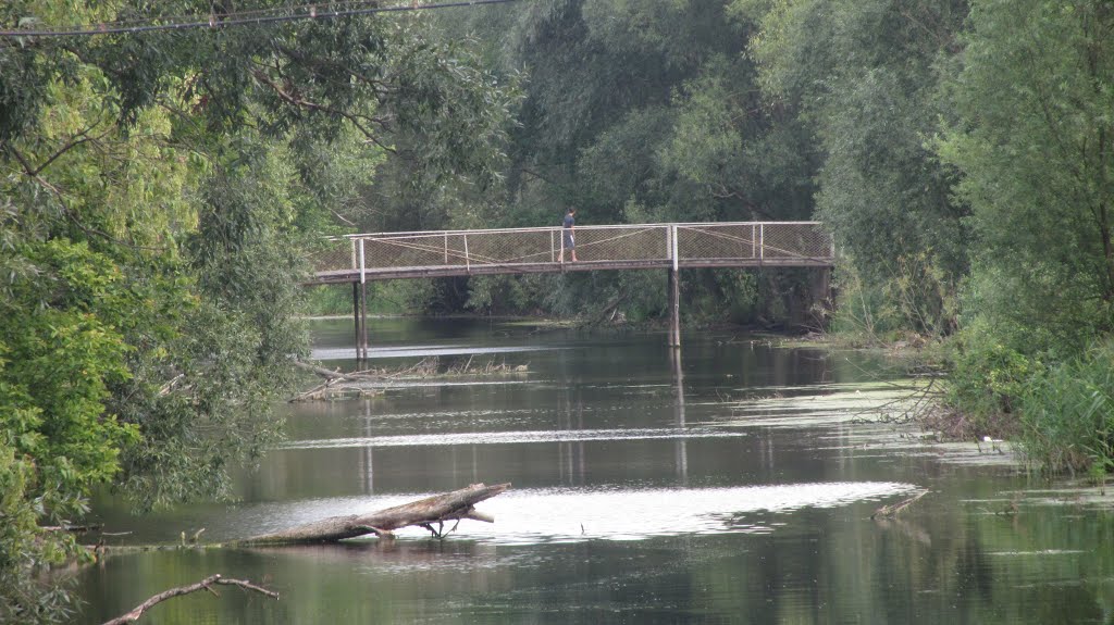 the new(not really) bridge over stinky river
