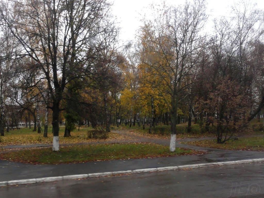 2013.10.27 | Парк в Чутово