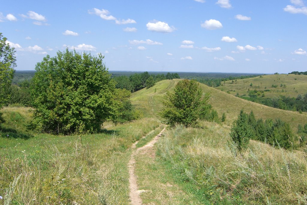 2008_Shishaki, Poltavskaya Region, Ukraine, NE end of the village