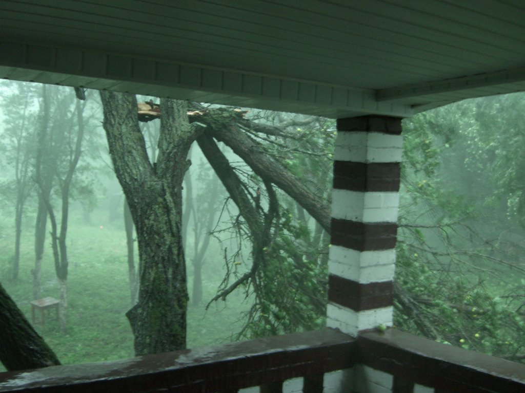 Poltava Region, Shishaki, Fury of rain squall, July 2009