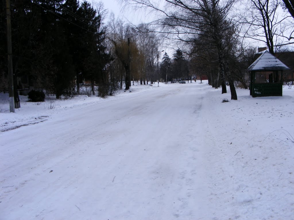 Шишаки