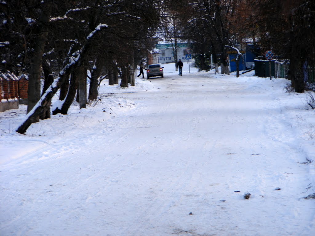 Шишаки Центр