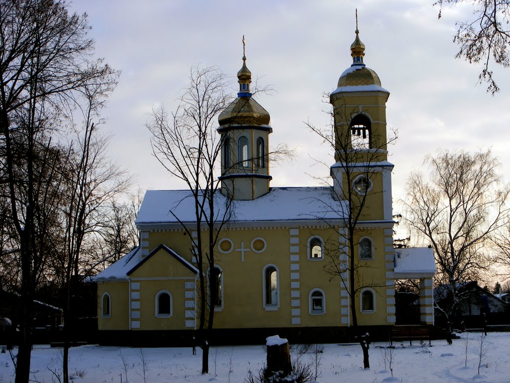 Шишаки церковь