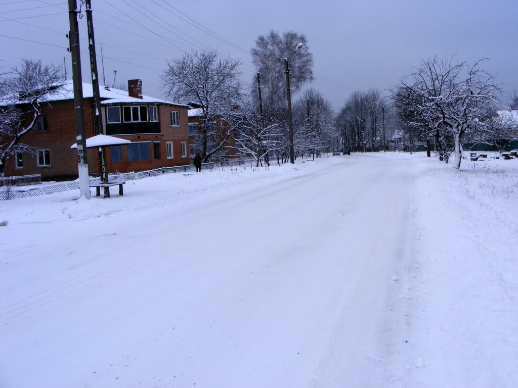 Шишаки улица Ленина