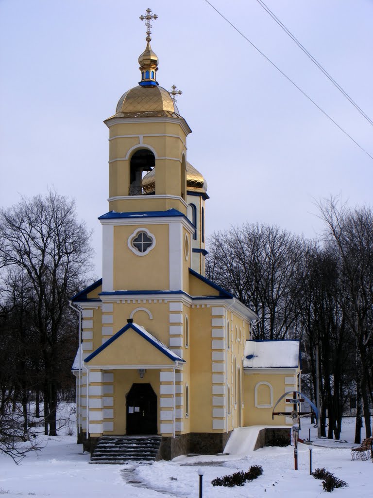 Шишаки церковь
