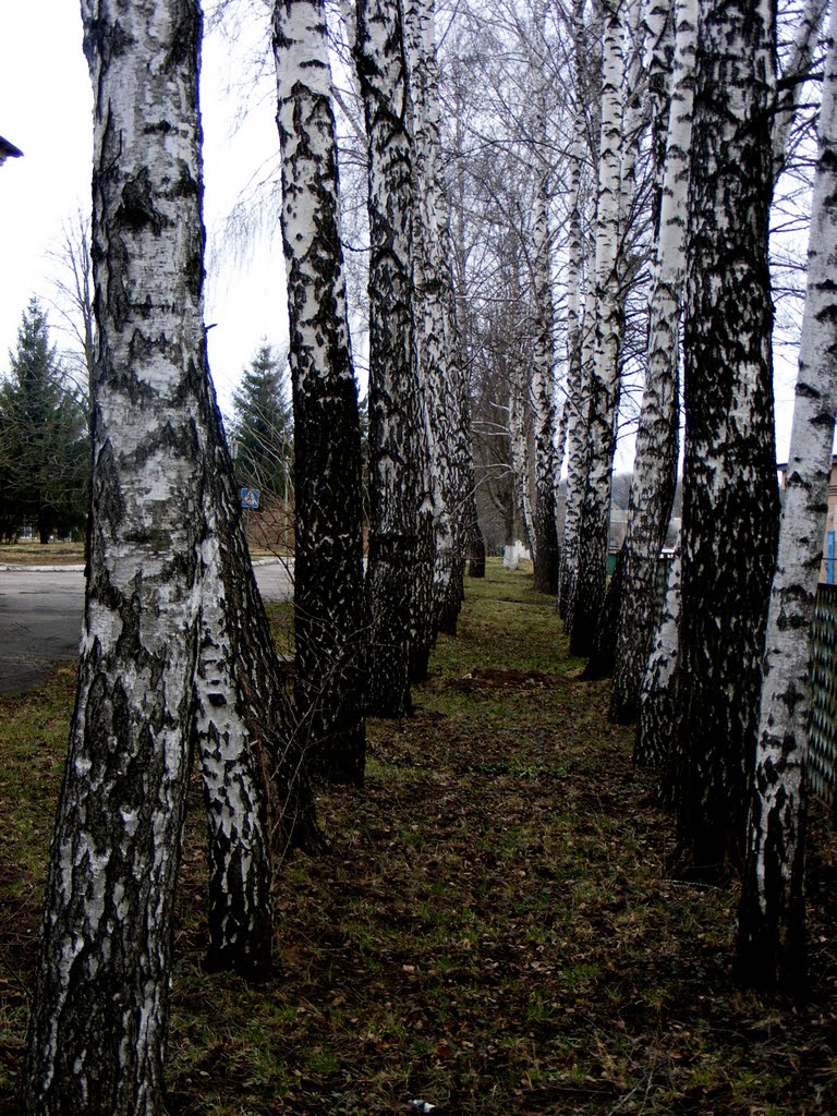 возле больницы
