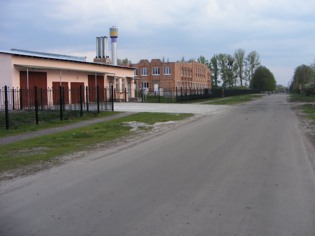 гимназия