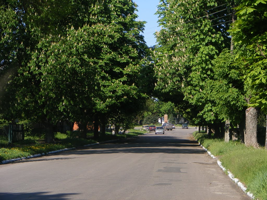 арка из каштанов