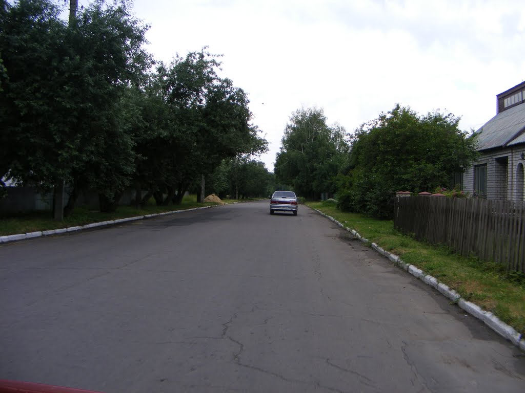 улица ленина